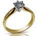 Ring 22
